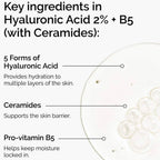 Hyaluronic Acid 2% + B5 Hydrating Serum with Ceramides