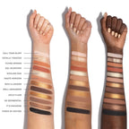 ChromaPlus 12-Pan Eyeshadow Palette