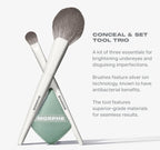 Conceal & Set Tool Trio
