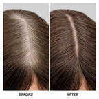 Root Coverup Powder