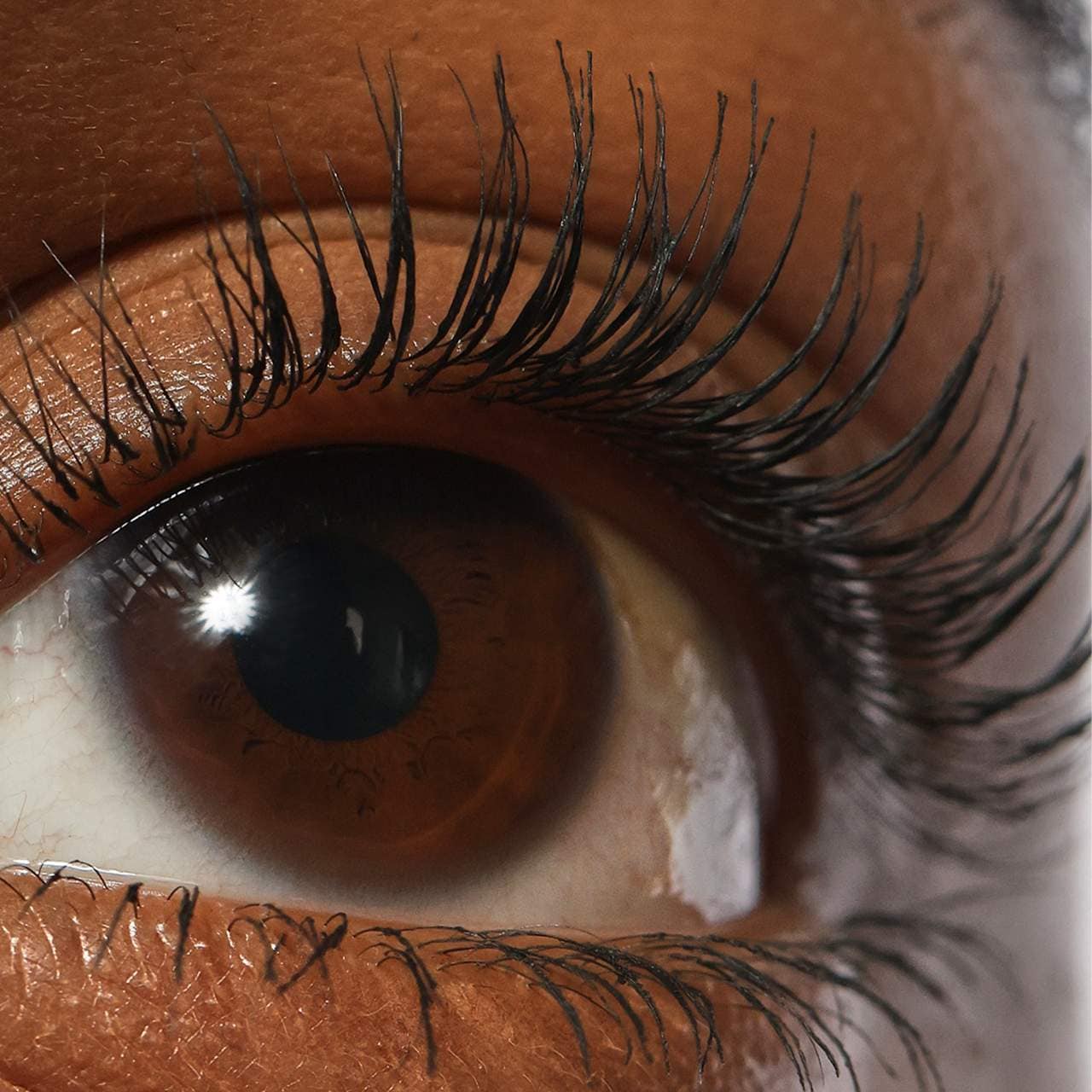 Lash Sculpt Lengthen and Lift Mascara | REFY