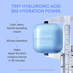 Water Bank Blue Hyaluronic Cream Moisturizer for Moisture Barrier Repair