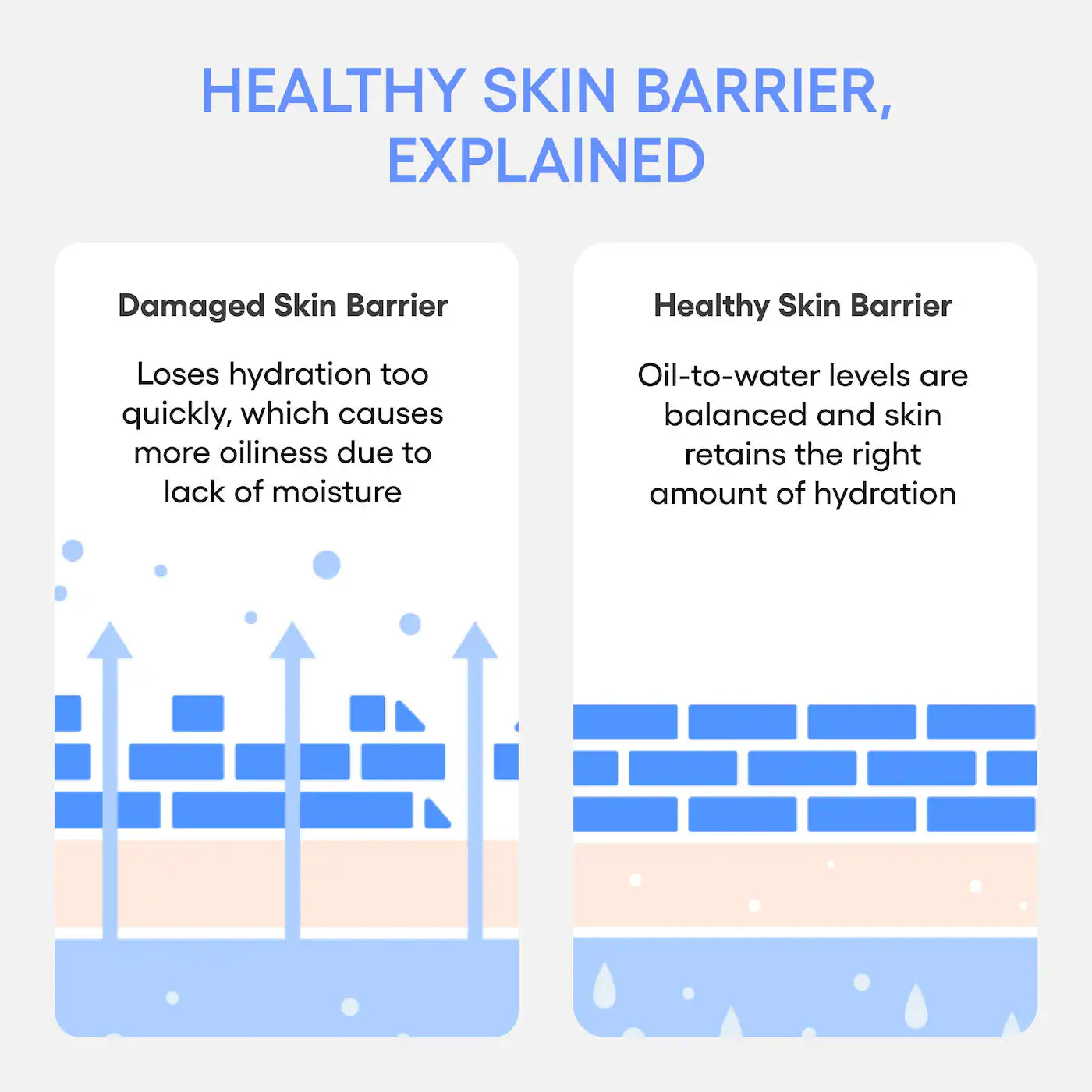 Water Bank Blue Hyaluronic Cream Moisturizer for Moisture Barrier Repair