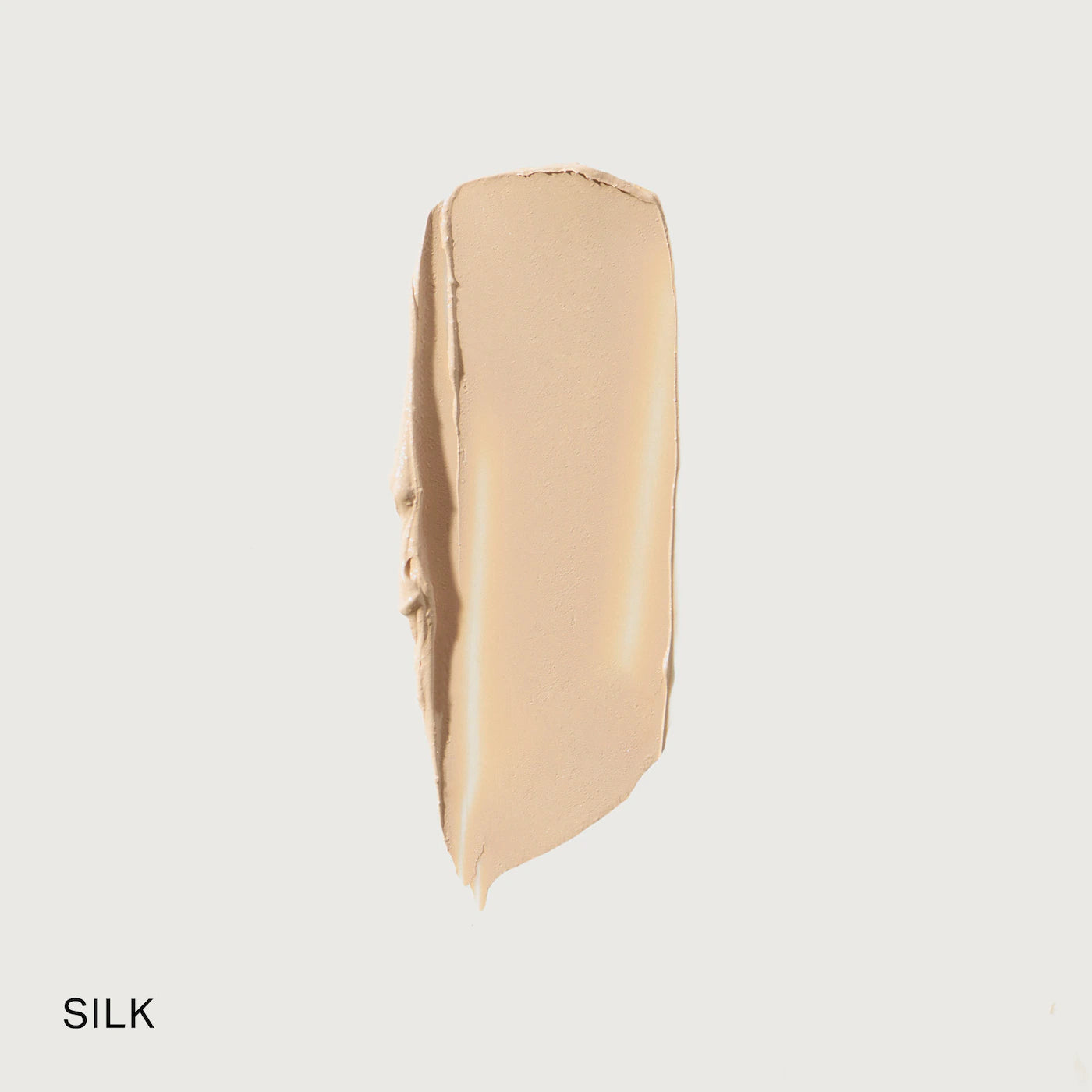 The Minimalist Perfecting Complexion Foundation and Concealer Stick | MERIT