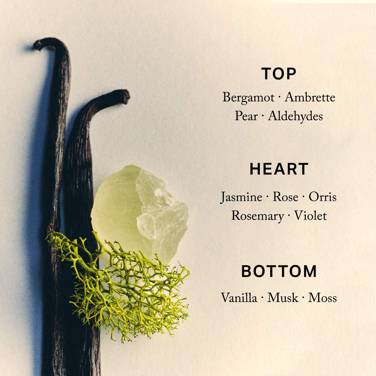 Retrospect™ L’Extrait de Parfum | MERIT