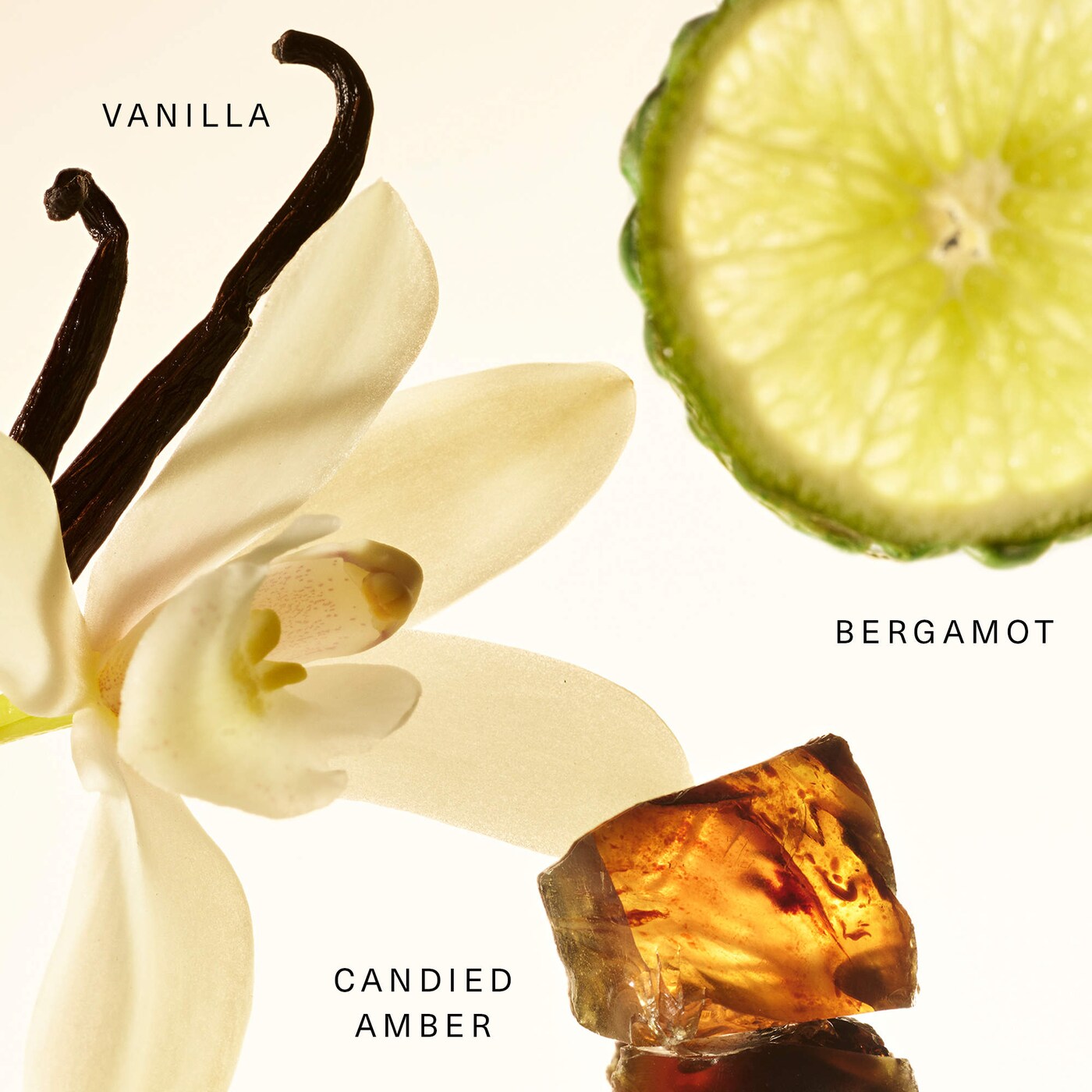 Amber Vanilla Rare Fragrance Layering Balm | RARE BEAUTY