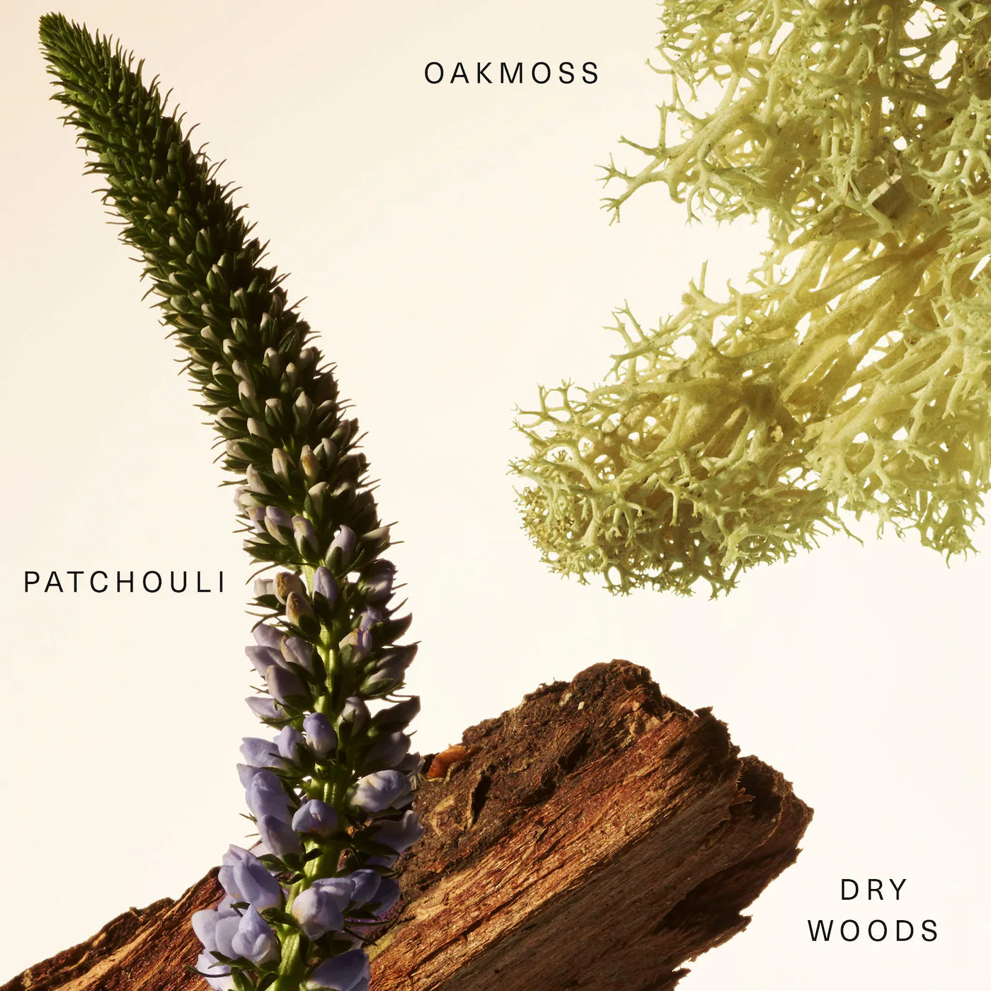 Woody Oak Rare Fragrance Layering Balm | RARE BEAUTY